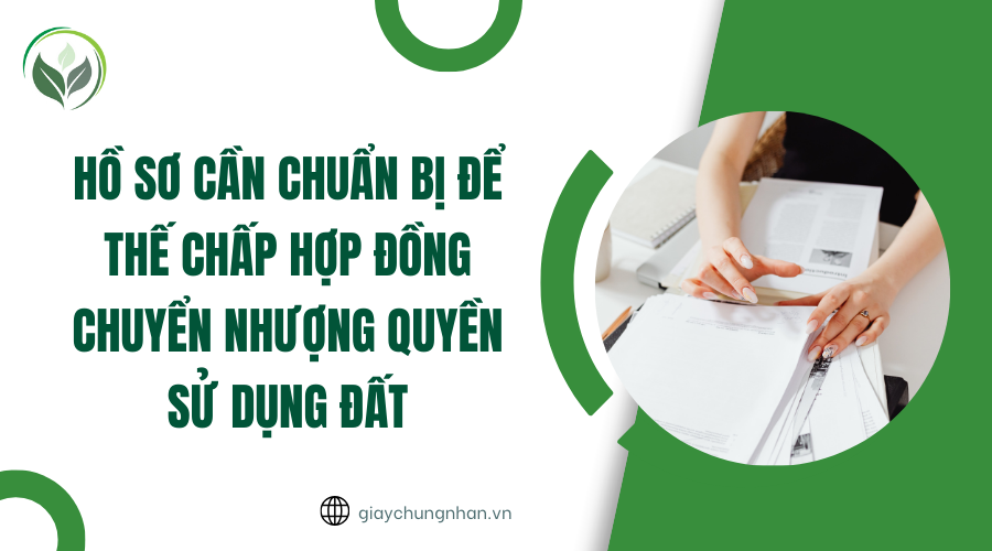Hồ sơ cần chuẩn bị để thế chấp hợp đồng chuyển nhượng quyền sử dụng đất