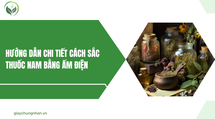 Hướng dẫn chi tiết cách sắc thuốc nam bằng ấm điện
