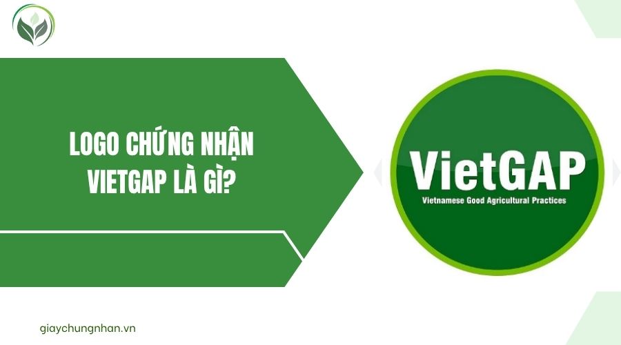 Logo chứng nhận VietGAP là gì?.jpg