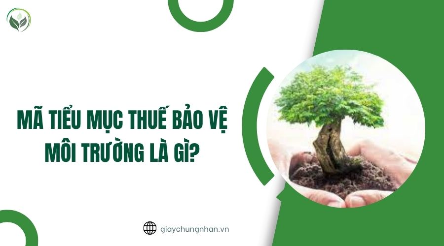 Mã tiểu mục thuế bảo vệ môi trường là gì?.jpg