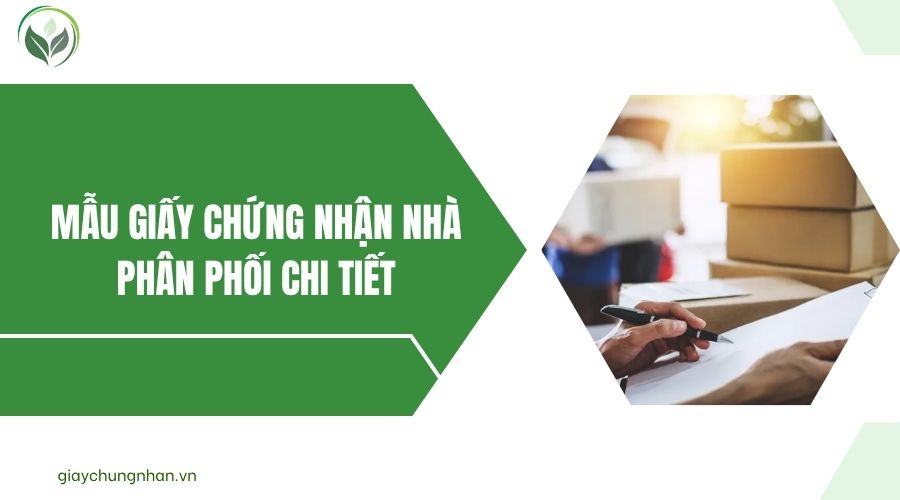 Mẫu giấy chứng nhận nhà phân phối chi tiết.jpg