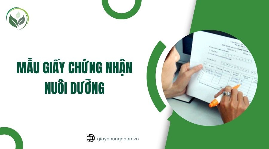 Mẫu giấy chứng nhận nuôi dưỡng.jpg