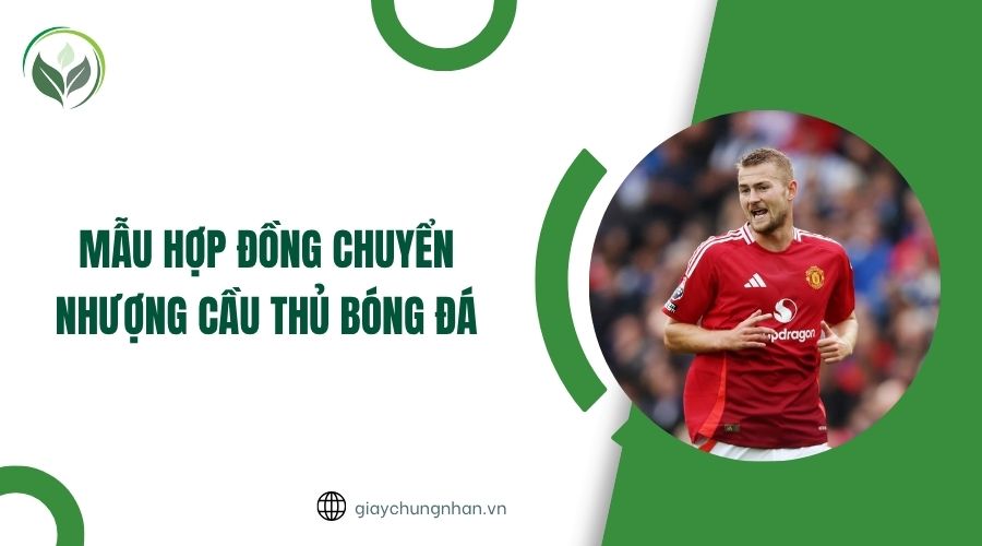 Mẫu hợp đồng chuyển nhượng quyền khai thác khoáng sản