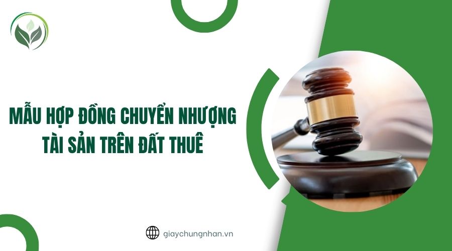 Thủ tục chuyển nhượng hợp đồng góp vốn mua đất nền