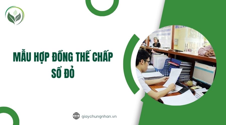 Mẫu hợp đồng thế chấp sổ đỏ.jpg