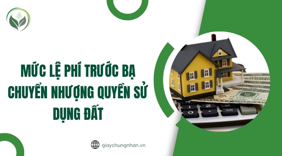 Mức lệ phí trước bạ chuyển nhượng quyền sử dụng đất.jpg
