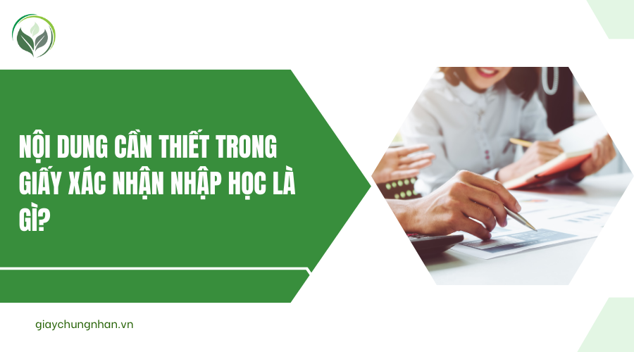 Nội dung cần thiết trong giấy xác nhận nhập học là gì?