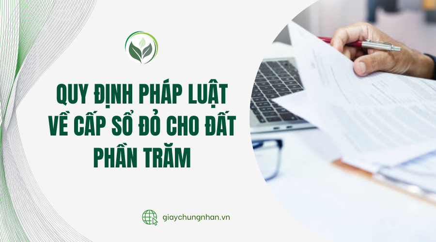 Quy định pháp luật về cấp sổ đỏ cho đất phần trăm
