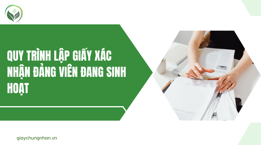 Quy trình lập giấy xác nhận đảng viên đang sinh hoạt