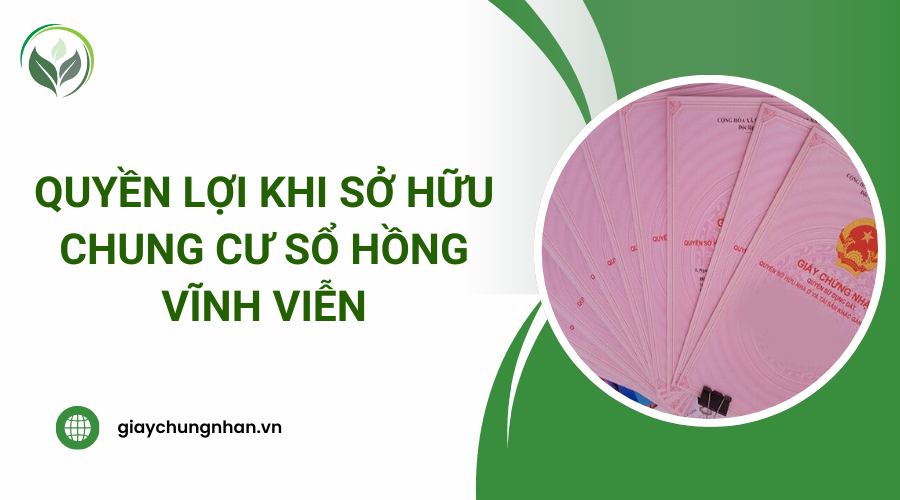 Quyền lợi khi sở hữu chung cư sổ hồng vĩnh viễn