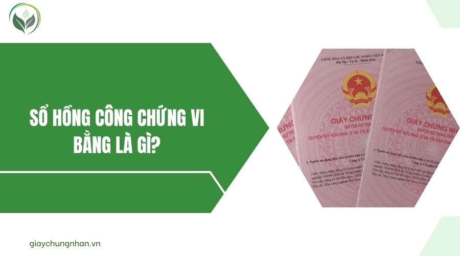 Sổ hồng công chứng vi bằng là gì?.jpg