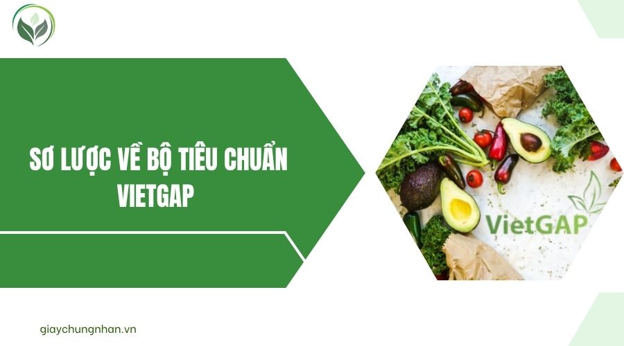 Sơ lược về Bộ tiêu chuẩn VietGAP.jpg