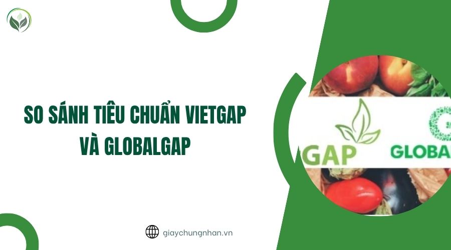 So sánh tiêu chuẩn Vietgap và Globalgap.jpg