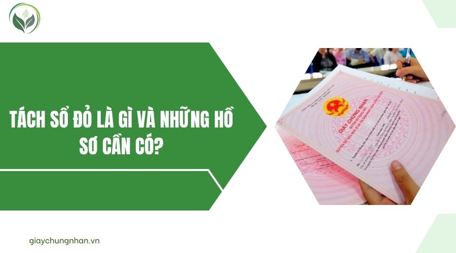 Tách sổ đỏ là gì và những hồ sơ cần có?.jpg