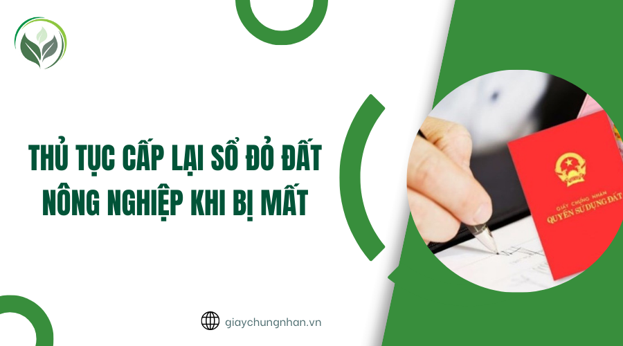 Thủ tục cấp lại sổ đỏ đất nông nghiệp khi bị mất