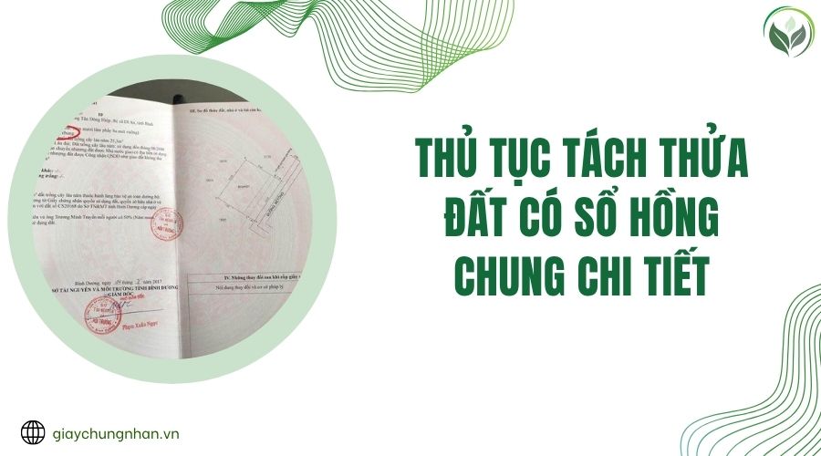 Thủ tục tách thửa đất có sổ hồng chung chi tiết.jpg