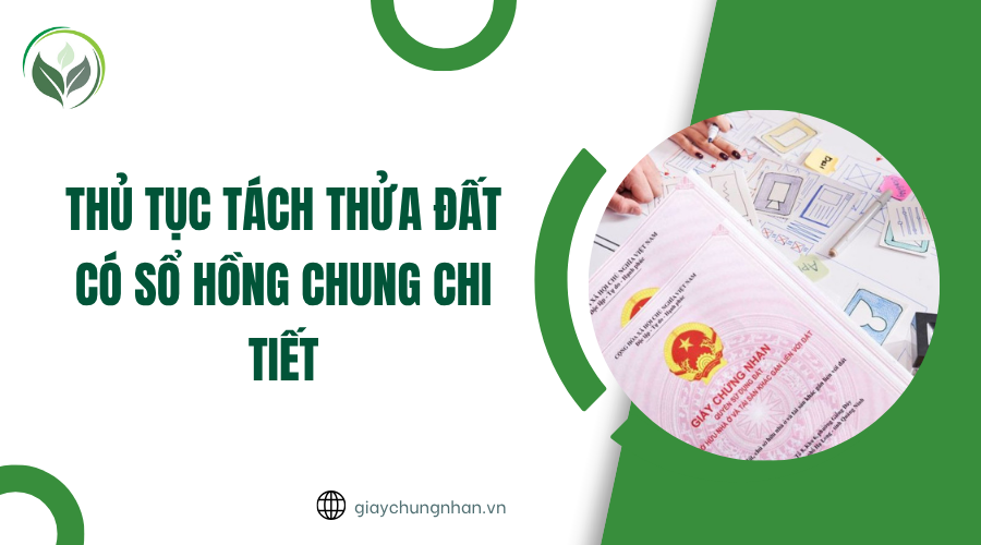Thủ tục tách thửa đất có sổ hồng chung chi tiết