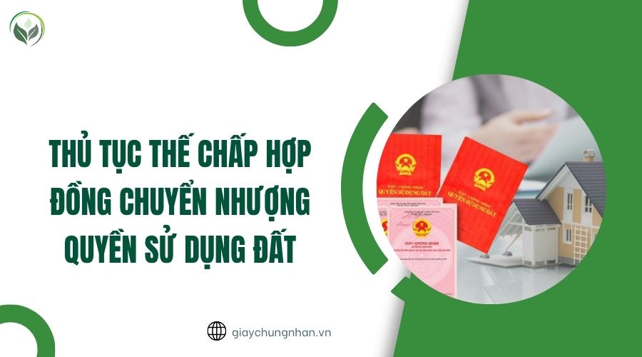 Mẫu giấy xác nhận là người gốc Việt Nam
