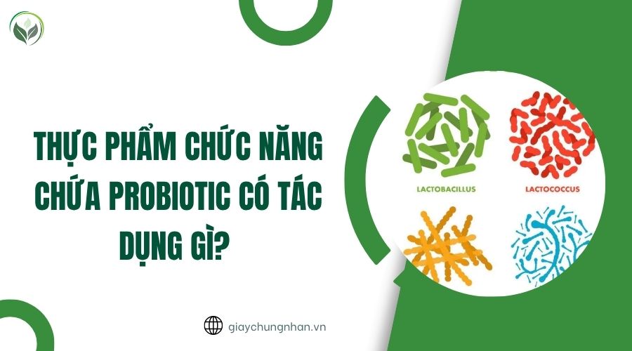 Thực phẩm chức năng chứa Probiotic có tác dụng gì.jpg