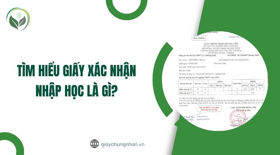 Tìm hiểu giấy xác nhận nhập học là gì?.jpg