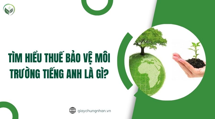 Tìm hiểu thuế bảo vệ môi trường tiếng Anh là gì?.jpg