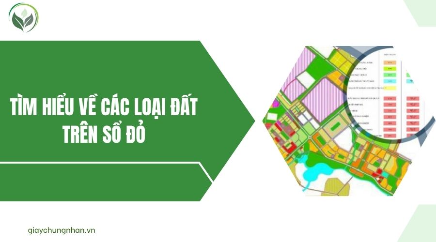 Tìm hiểu về các loại đất trên sổ đỏ.jpg