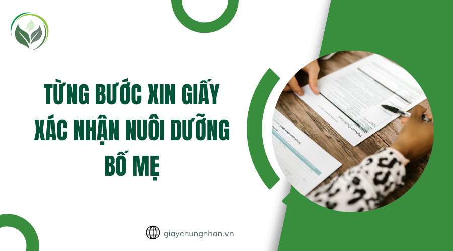 Từng bước xin giấy xác nhận nuôi dưỡng bố mẹ