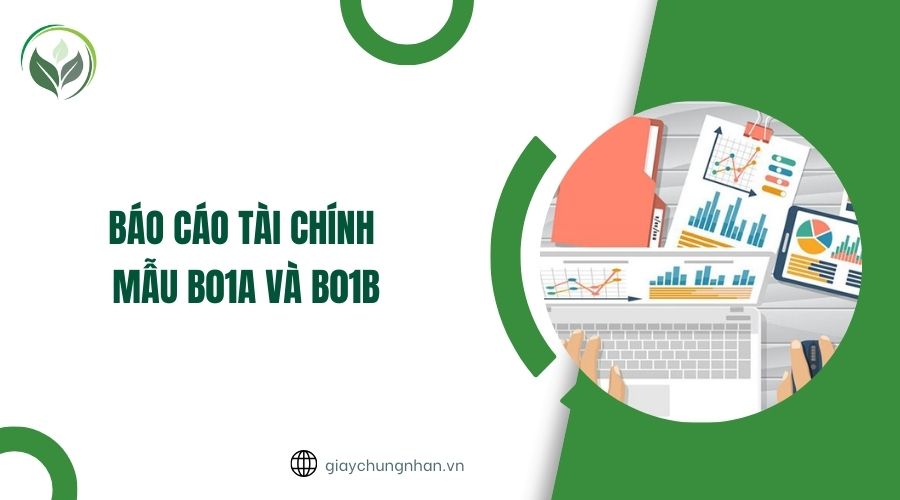 Báo cáo tài chính mẫu B01A và B01B