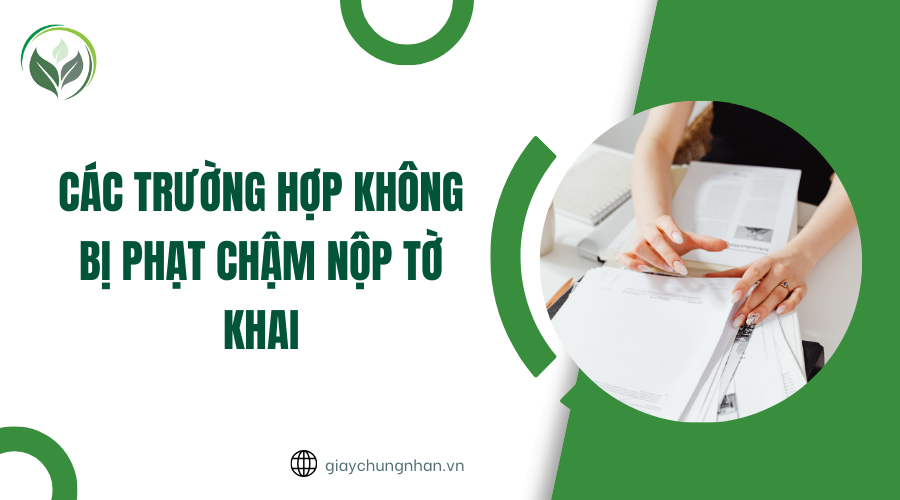 Các trường hợp không bị phạt chậm nộp tờ khai