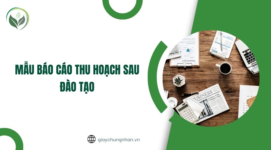 Mẫu báo cáo thu hoạch sau đào tạo