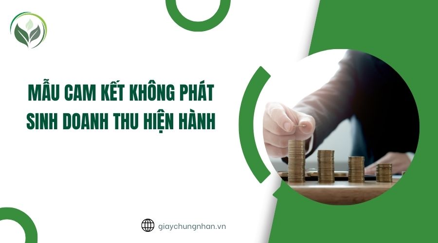 Mẫu cam kết không phát sinh doanh thu hiện hành