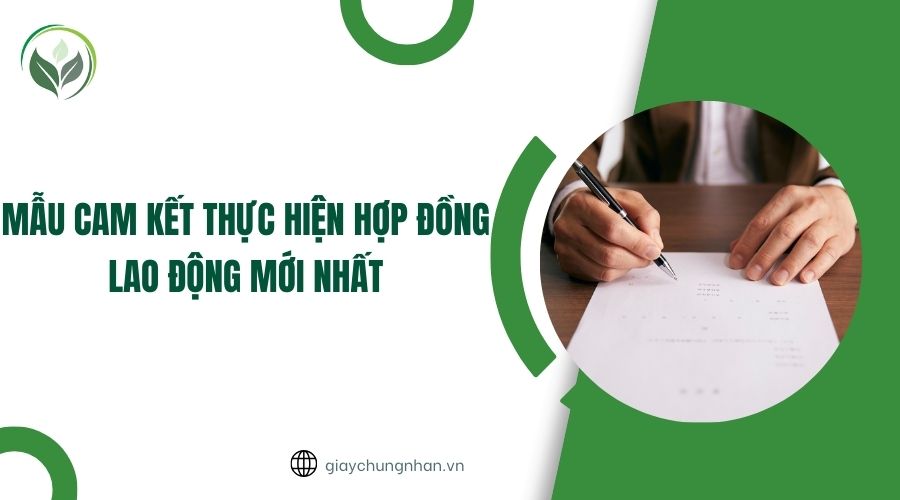 Mẫu cam kết thực hiện hợp đồng lao động mới nhất