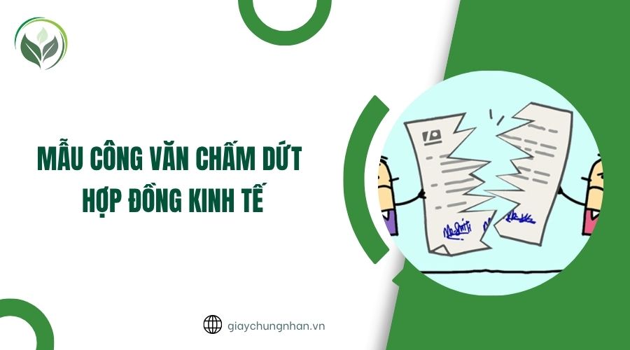 Mẫu công văn chấm dứt hợp đồng kinh tế