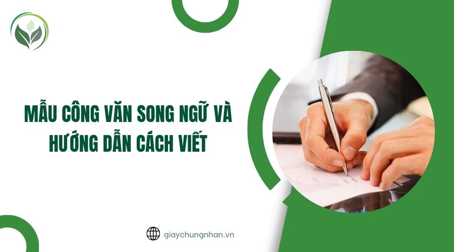 Mẫu công văn song ngữ và hướng dẫn cách viết