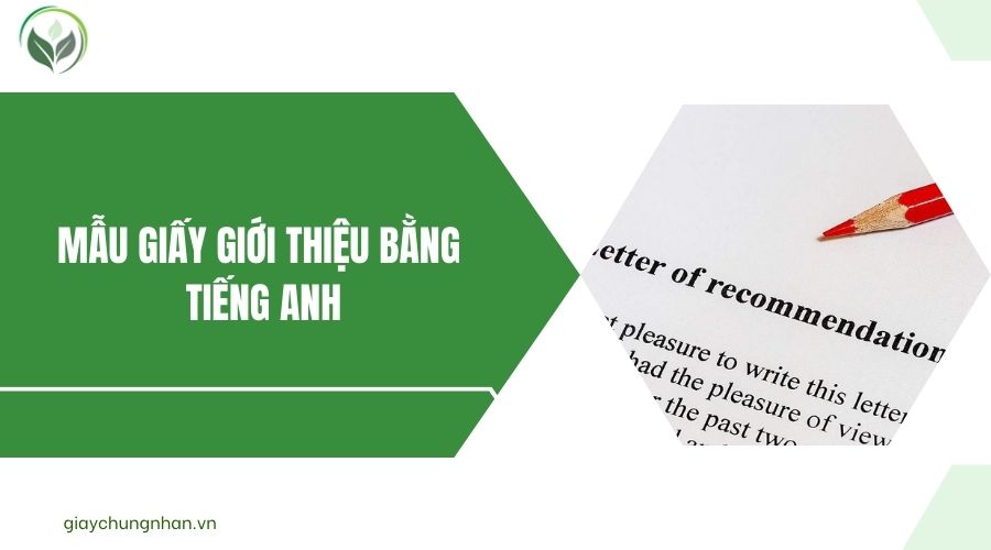 Mẫu giấy giới thiệu bằng tiếng Anh