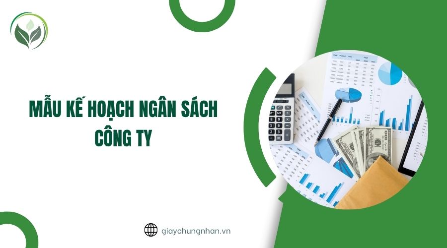 Mẫu kế hoạch ngân sách công ty