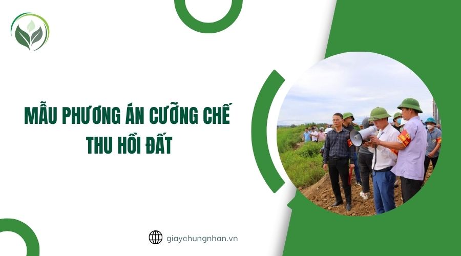 Mẫu phương án cưỡng chế thu hồi đất