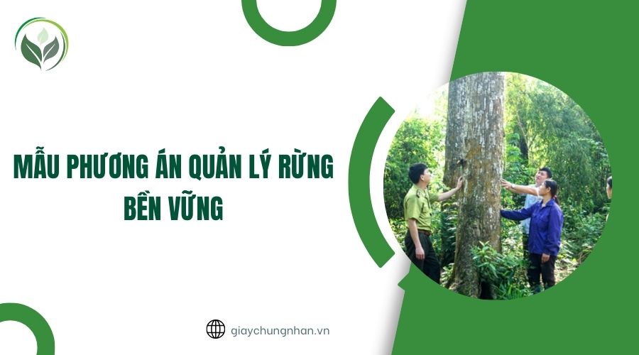 Mẫu phương án quản lý rừng bền vững