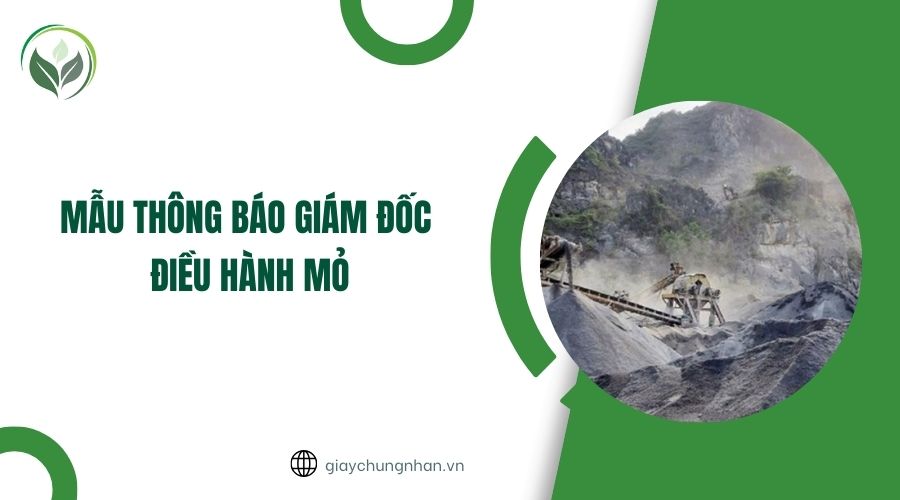 Mẫu thông báo giám đốc điều hành mỏ