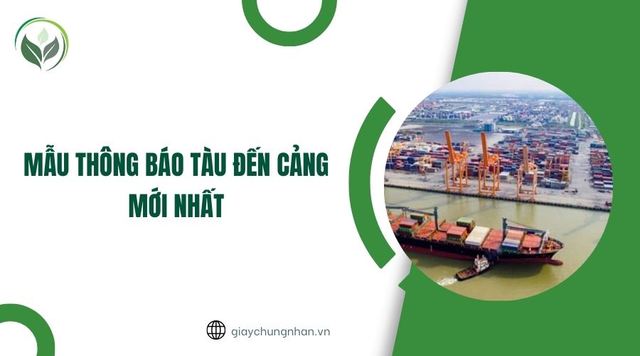 Mẫu thông báo tàu đến cảng mới nhất