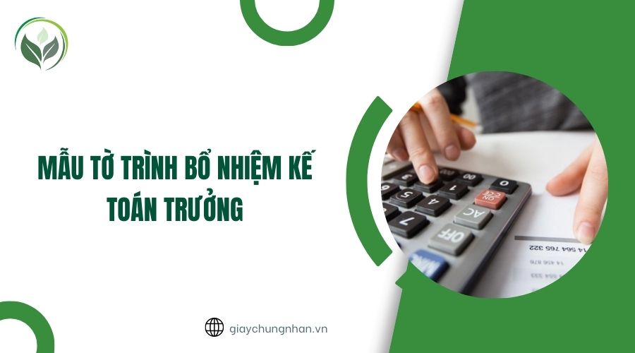 Mẫu tờ trình bổ nhiệm kế toán trưởng