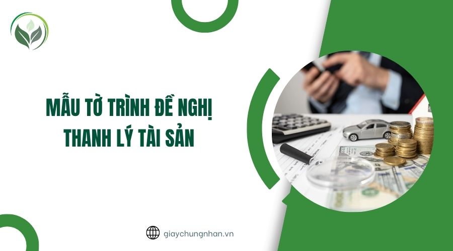 Mẫu tờ trình đề nghị thanh lý tài sản