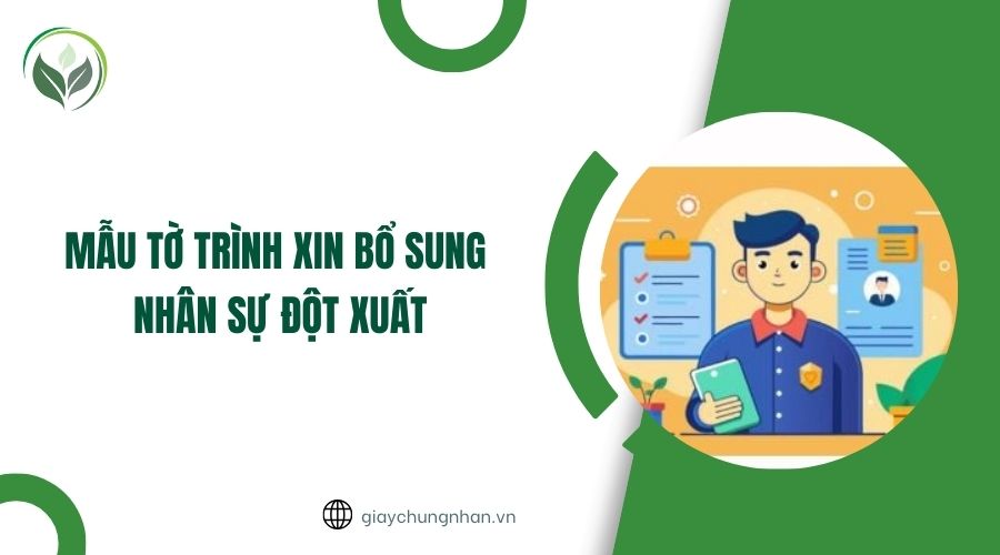 Mẫu tờ trình xin bổ sung nhân sự đột xuất