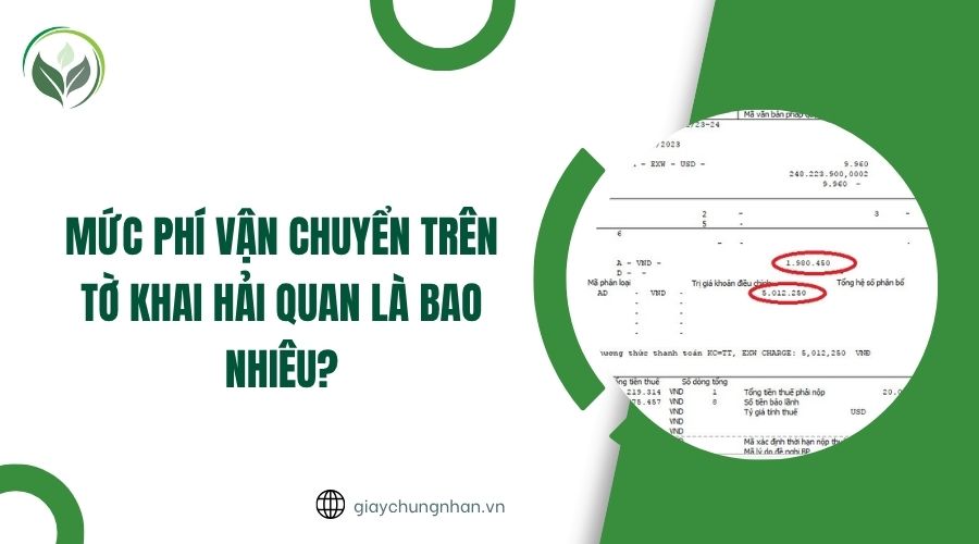 Mức phí vận chuyển trên tờ khai hải quan là bao nhiêu?