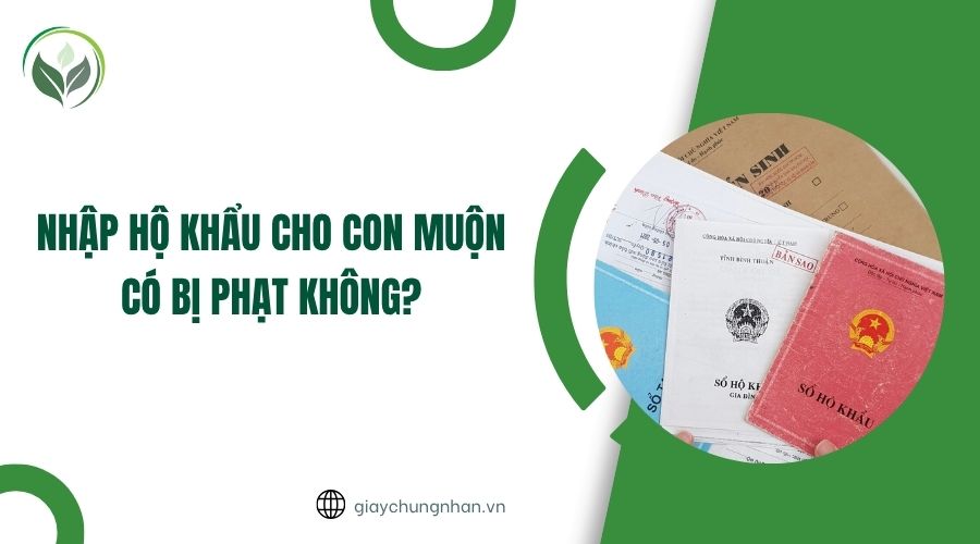 Nhập hộ khẩu cho con muộn có bị phạt không?