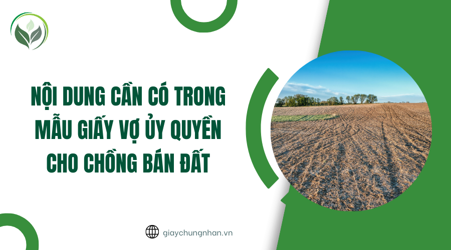 Nội dung cần có trong mẫu giấy vợ ủy quyền cho chồng bán đất