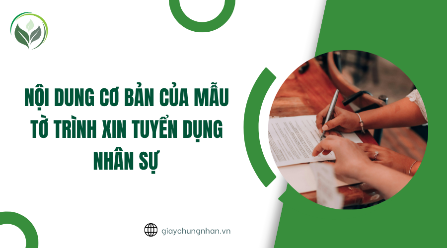 Nội dung cơ bản của mẫu tờ trình xin tuyển dụng nhân sự