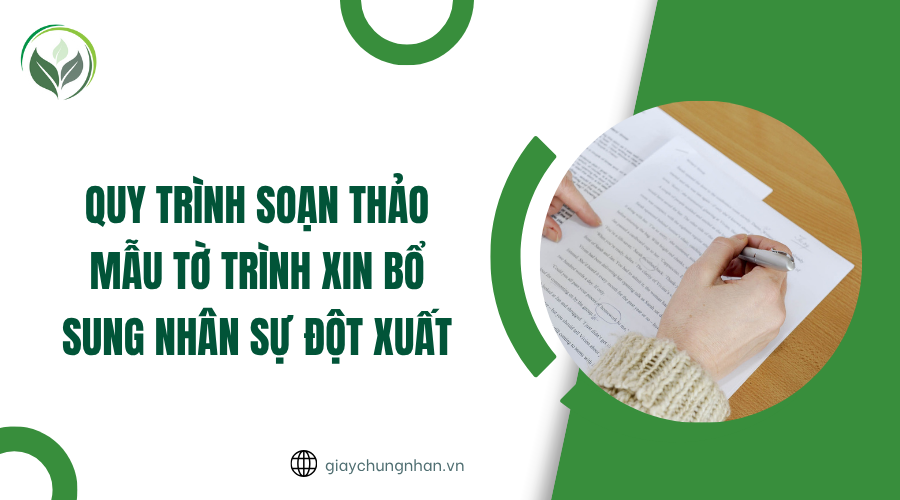 Quy trình soạn thảo mẫu tờ trình xin bổ sung nhân sự đột xuất