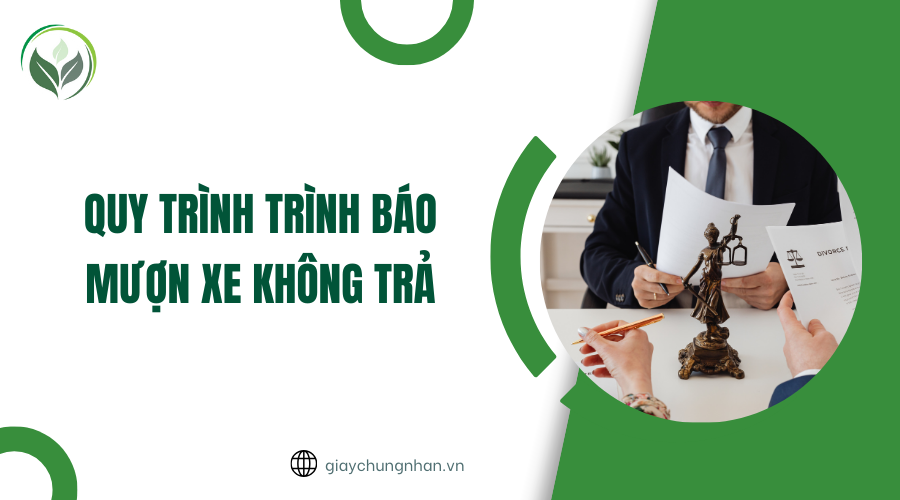 Quy trình trình báo mượn xe không trả