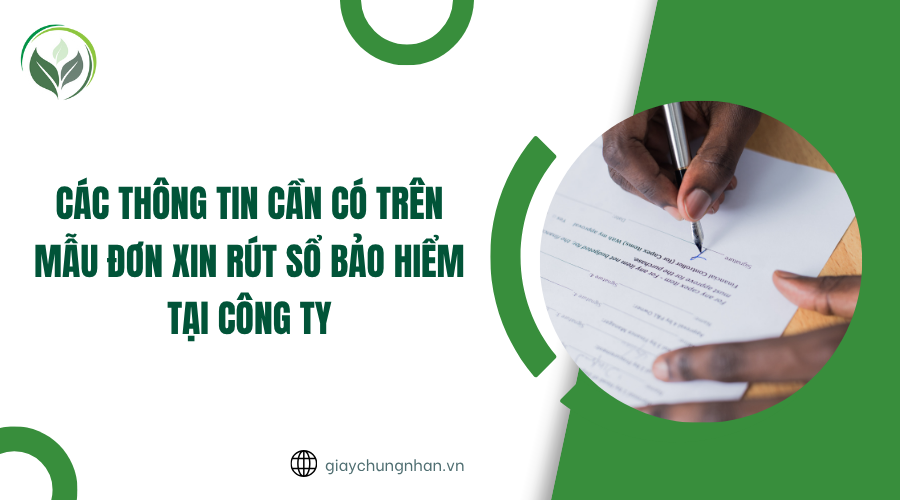 Các thông tin cần có trên mẫu đơn xin rút sổ bảo hiểm tại công ty